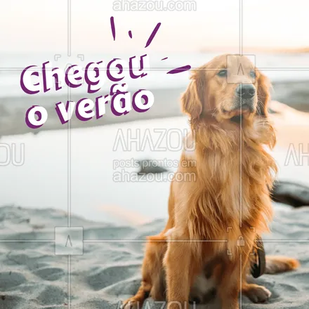 posts, legendas e frases de veterinário, petshop para whatsapp, instagram e facebook: Que felicidade, au au au! ❤️️☀️ #pet #verao #ahazoupet #auau