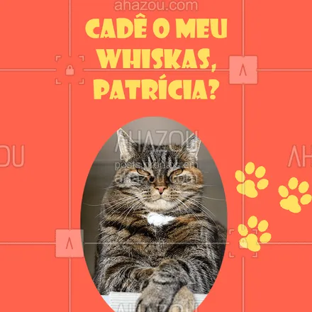 posts, legendas e frases de assuntos variados de Pets para whatsapp, instagram e facebook: O gato de vocês também é assim? HAHAHAH #gato #ahazou #cademeuwhiskas