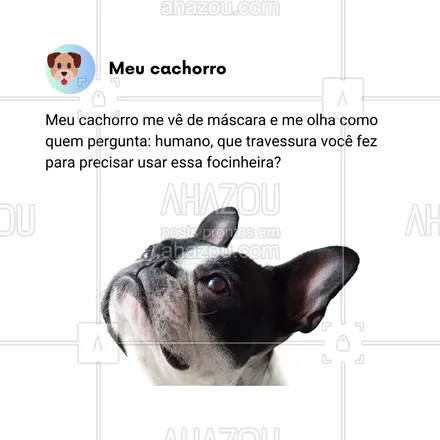 posts, legendas e frases de dog walker & petsitter, veterinário, petshop, assuntos variados de Pets para whatsapp, instagram e facebook: Quando coloco a máscara, meu cachorro me lança aquele olhar suspeito, tipo: 'Humano, o que você aprontou pra precisar usar essa focinheira?' 😂🐶 Alguém mais sendo julgado pelo doguinho?

#AhazouPet #JulgadoPeloCachorro #CachorroSuspeito #VidaComDog #OlharDeCulpado #HumorCanino