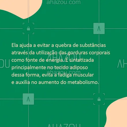 posts, legendas e frases de nutrição para whatsapp, instagram e facebook: A taurina pode ser seu aliado na dieta de emagrecimento. Confira no post acima algumas características deste suplemento! ?
#AhazouSaude #nutricao  #alimentacaosaudavel  #saude #emagrecimento #taurina