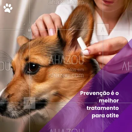 posts, legendas e frases de petshop para whatsapp, instagram e facebook: Para evitar a otite, é importante manter a limpeza regular das orelhas do seu pet, especialmente após banhos e passeios. Vamos juntos cuidar da saúde auditiva dos nossos amigos! 💦🐕 #DicaDePet #SaúdePet #Otite #CuidadosPet #OtitePet #SaúdeAnimal #AhazouPet #petshop #dica #tratamento #otite  