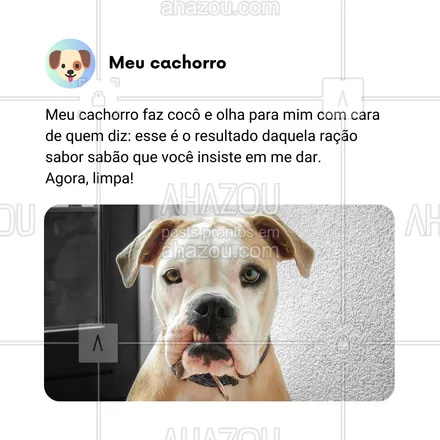 posts, legendas e frases de dog walker & petsitter, veterinário, petshop, assuntos variados de Pets para whatsapp, instagram e facebook: Meu cachorro não fala, mas aquele olhar depois de fazer cocô diz tudo: 'Tá vendo? Esse é o resultado daquela ração com gosto de sabão que você insiste em me dar. Agora, limpa aí, humano!' 😂 Alguém mais passa por essas 'broncas silenciosas'? 🤦‍♂️🐾

#AhazouPet #HumorDeCachorro #OlharDeReprovação #VidaDeDono #CachorroSincero #LimpaAíHumano