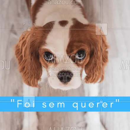 posts, legendas e frases de assuntos variados de Pets para whatsapp, instagram e facebook: Seu pet também faz essa carinha? ? #pet #ahazou #cachorro #engraçado