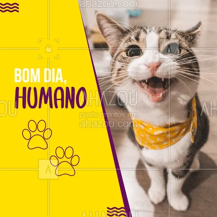 posts, legendas e frases de assuntos variados de Pets para whatsapp, instagram e facebook: Bom dia, serumaninhos ? #bomdia #ahazoupet #pet #pets