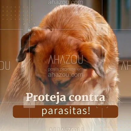 posts, legendas e frases de petshop para whatsapp, instagram e facebook: Pulgas e carrapatos podem causar alergias e problemas de pele. Proteja seu pet com produtos antipulgas e controle os parasitas regularmente. 🐕❤️ #SaúdePet #DicasDeCuidadosPet #CuidadoComOsPets #CuidadosComOsPelos #AhazouPet #dicas #cuidadoscomapele #cuidadoscomospets #petshop 