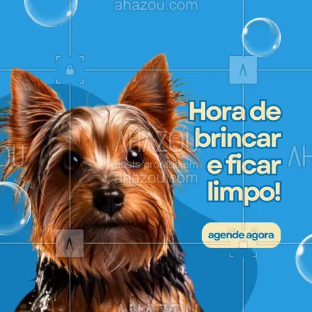 posts, legendas e frases de petshop para whatsapp, instagram e facebook: Banho é diversão também! 🐕✨ Traga seu pet para um banho e tosa completo, com direito a muita brincadeira e aquele cuidado especial. Ele vai amar a experiência e sair cheirosinho para te encher de carinho! 💙 #BanhoDivertido #BanhoETosa #PetLimpinho #AhazouPet #petshop #serviçosdepetshop #banho #tosa