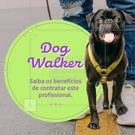 posts, legendas e frases de dog walker & petsitter para whatsapp, instagram e facebook: Profissional treinado que oferece um passeio qualitativo para o seu pet.
Para que o passeio seja divertido e seguro, o dog walker tem alguns "truques na manga" que fazem o passeio ser um sucesso.
Só assim o seu pet aproveita 100% os benefícios de um passeio ao ar livre.
#AhazouPet   #dogtraining  #dogwalk  #dogwalker  #doglover #pet #passeiopet