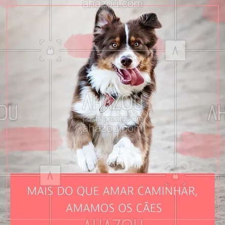 posts, legendas e frases de dog walker & petsitter para whatsapp, instagram e facebook: Aqui seu amigo é bem amado e tratado! ❤? #ahazoupet #dogwalker #amigo #cãopania #passeio #doglovers