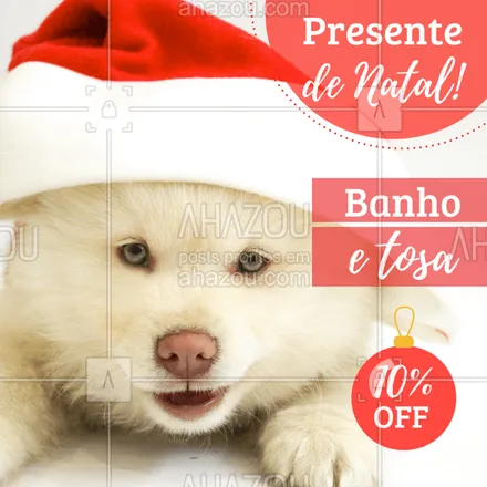 posts, legendas e frases de petshop para whatsapp, instagram e facebook: Olha só este presente de natal! Aproveite o banho e tosa a preço promocional! Traga o seu amiguinho.
#petshop #ahazoupet #banho #tosa #natal