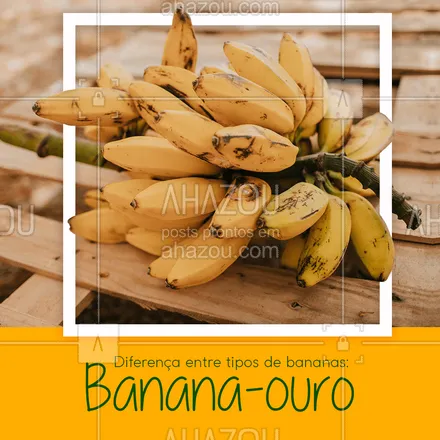 posts, legendas e frases de hortifruti para whatsapp, instagram e facebook: Não sabe a diferença entre a banana-ouro das demais? Vamos explicar.  Ela é a menor das espécies produzidas, tendo aproximadamente 10 centímetros, casca fina de cor amarelo ouro e a polpa branco creme. Este tipo de banana é ótima para ser consumida in natura pois ela tem um uma polpa doce e perfumada. 🍌 #ahazoutaste #banana #bananaouro #diferenças #frutas #tiposdebanana  #hortifruti  #mercearia  #organic 