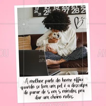posts, legendas e frases de assuntos variados de Pets para whatsapp, instagram e facebook: Felicia’s fellings ? #PetseHomeOffice #AhazouPets #HomeOffice #Pets #LoucosporPets #AhazouPet 
