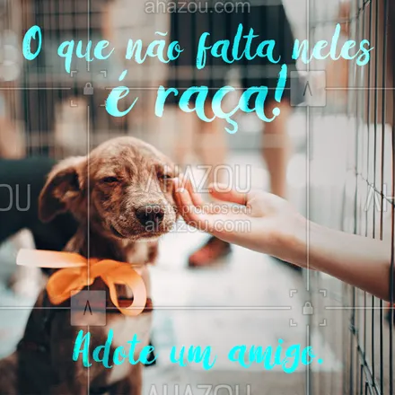 posts, legendas e frases de assuntos variados de Pets para whatsapp, instagram e facebook: Você vai descobrir a raça que eles tem quando souber sobre tudo que já passaram! Adote um cão ou gato resgatado <3 #pet #adote #ahazou #ahazoupet #resgatados #amigos