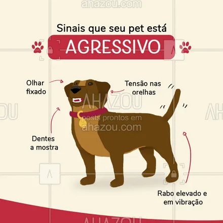 posts, legendas e frases de dog walker & petsitter para whatsapp, instagram e facebook: A linguagem corporal pode dizer muito sobre o estado de espirito do seu pet, saiba como decifra-las ? #pet #cachorro #AhazouPet #dogwalker #guia #dicas #agressivo