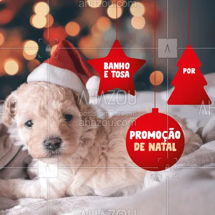 posts, legendas e frases de petshop para whatsapp, instagram e facebook: Aproveite a promoção para o seu peludinho ficar pronto para o Natal! ??#banhoetosa #ahazou #promoção #natal