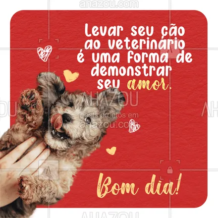 posts, legendas e frases de veterinário para whatsapp, instagram e facebook: Nossos animaizinhos são fontes inesgotáveis de amor: tanto pra dar quanto pra receber! ?? E tem forma melhor de dar amor do que mantendo-o saudável? Quem ama, cuida! #AhazouPet #vet #veterinario #medicinaveterinaria #pets