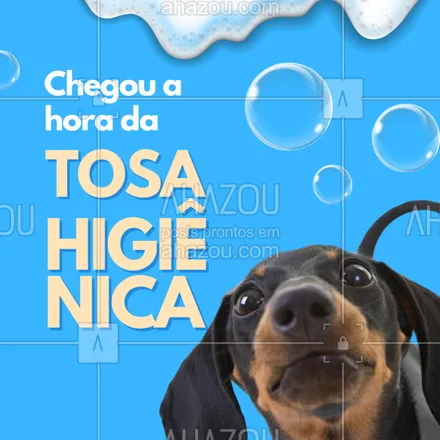 posts, legendas e frases de  para whatsapp, instagram e facebook: Seu pet anda desconfortável, lambendo muito ou com cheirinho estranho?
Pode ser hora da tosa higiênica!
💬 Chama no direct ou clica no link e agenda com a gente. Vamos cuidar do seu melhor amigo com carinho!

#tosahigienica #petlimpo #bemestardopet #petlove #cuidadosanimais #agendapet #banhoetosa #petconfortável #agendehoje