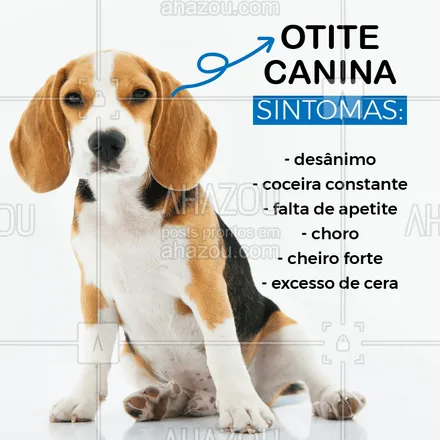 posts, legendas e frases de veterinário para whatsapp, instagram e facebook: Percebeu algum desses sinais no seu cachorro? ? Agende uma consulta! #veterinario #ahazoupet #otite #otitecanina #cachorro