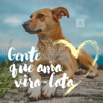 posts, legendas e frases de assuntos variados de Pets para whatsapp, instagram e facebook: Se você ama vira-latas comenta eu ? ❤️ #viralata #ahazou #pets #cachorro 