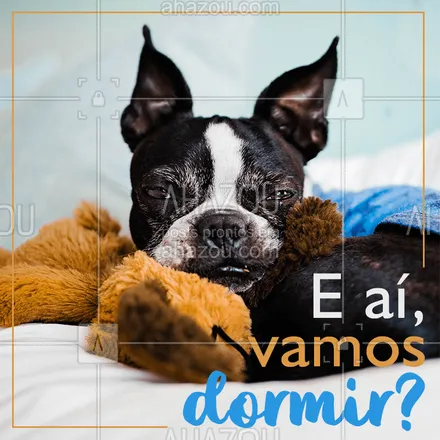 posts, legendas e frases de assuntos variados de Pets para whatsapp, instagram e facebook: Tá na hora de dormir ?? #boanoite #ahazoupet #pets