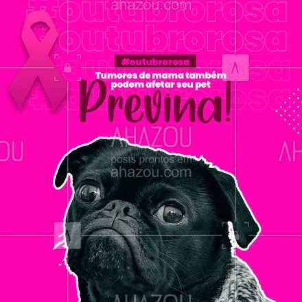 posts, legendas e frases de veterinário para whatsapp, instagram e facebook: O câncer de mama em cadelas é uma das principais doenças que afetam nossos pets. De acordo com o Conselho Federal de Medicina Veterinária (CFMV), atinge cerca de 45% das fêmeas caninas. Os números não mentem e assustam, então esteja sempre atento e faça exames de prevenção no seu pet.
 #AhazouPet  #medicinaveterinaria #medvet #vetpet  #veterinarian #veterinario #petvet #clinicaveterinaria #veterinary #veterinaria #outubrorosa #outubrorosacanino #cancerdemama #cancerdemamacanino