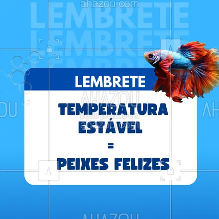 posts, legendas e frases de assuntos variados de Pets para whatsapp, instagram e facebook: Peixes são sensíveis à temperatura!
Use um termostato de qualidade e mantenha o aquário sempre estável (sem variações bruscas).
Cada espécie tem sua faixa ideal — informe-se e cuide com carinho!
#peixesfelizes #cuidadoscompeixes #termostatonoaquario #aquarioequilibrado #vidadeaquario