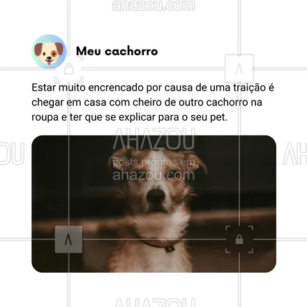 posts, legendas e frases de dog walker & petsitter, veterinário, petshop, assuntos variados de Pets para whatsapp, instagram e facebook: Estar encrencado de verdade é chegar em casa com cheiro de outro cachorro e ter que dar explicações pro seu pet ciumento! 🐶😅 Quem aí já passou por isso? 😂💔

#AhazouPet #CiumesCanino #VidaDePet #CachorroDetective #HumorDeCachorro #MelhoresAmigos