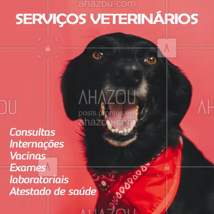 posts, legendas e frases de veterinário para whatsapp, instagram e facebook: Na nossa clínica temos diversos serviços para o seu pet. Entre em contato com a gente para maiores informações XXXXXX #vet #pet #ahazoupet #veterinario #amigaopet #peludo
