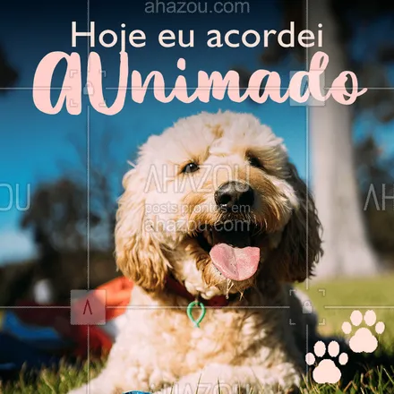 posts, legendas e frases de assuntos variados de Pets para whatsapp, instagram e facebook: Quem aí também tá AUnimado hoje? ? #bomdia #ahazoupet #cachorro #pets