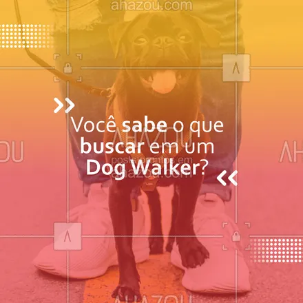 posts, legendas e frases de dog walker & petsitter para whatsapp, instagram e facebook: Se você passa dificuldades na busca de um Dog Walker você precisa analisar esses 4 pontos: 1️⃣ Gostar da profissão de ser um passeador de cães 2️⃣ Conhecimento sobre os cães/raças 3️⃣ Cursos de profissionalização 4️⃣ Instrução sobre primeiros socorros. ? #DogWalker #Dog #AhazouPet #Pet #AhazouPet #AhazouPet #AhazouPet 