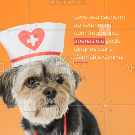posts, legendas e frases de veterinário para whatsapp, instagram e facebook: Apenas o veterinário pode diagnosticar a dermatite canina. Ele vai examinar o pet e enteder sobre a vida, alimentação, hábitos e seu histórico. E aí sim trazer o diagnóstico para o seu cachorro.
#Dermatite #AhazouPet #Canina