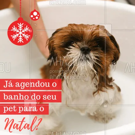 posts, legendas e frases de petshop para whatsapp, instagram e facebook: Não perca tempo e agende agora mesmo o banho do seu pet!
#petshop #ahazoupet #natal #banho #pets