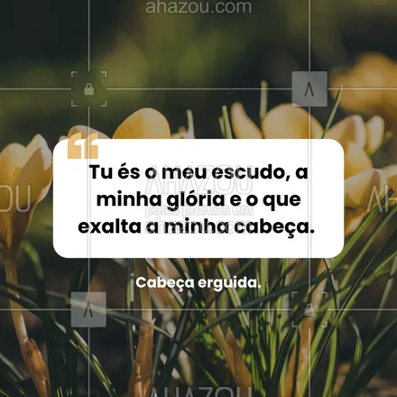 posts, legendas e frases de para whatsapp, instagram e facebook: Mesmo caído, Deus te levanta com honra. #salmo3 #exaltação #deusnoslevanta #confiança