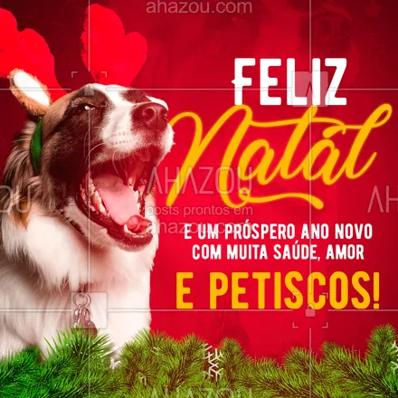 posts, legendas e frases de assuntos variados de Pets para whatsapp, instagram e facebook: Desejamos a todos excelentes festas de fim de ano! ❤️

#AhazouPet #ahznoel #natal #anonovo #pet  #petlovers #cats #dogs #cachorro #gato