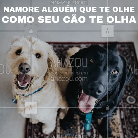 posts, legendas e frases de assuntos variados de Pets para whatsapp, instagram e facebook: Conselho para o dia de hoje. ? #cachorro #ahazoupet #engraçado #amocachorro #pet 