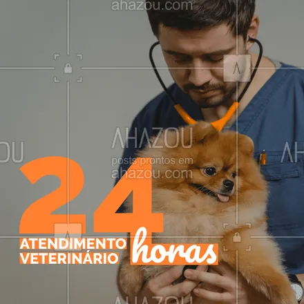 posts, legendas e frases de petshop para whatsapp, instagram e facebook: Agora temos atendimento veterinário 24 horas disponível para atender você e seu pet.
#Atendimento #AhazouPet #Veterinário