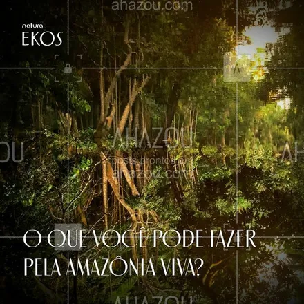 posts, legendas e frases de natura para whatsapp, instagram e facebook: Você sabia que Natura Ekos contribui para manter as florestas em pé? São 2 milhões de hectares conservados nas áreas em que atua. É mais vida para o seu corpo E para a #AmazôniaViva. #DiaDeProteçãoÀsFlorestas

#ParaTodosVerem: a imagem da floresta, refletida em um rio, tem a marca Natura Ekos e o texto: “O que você pode fazer pela Amazônia Viva?”. #AhazouNatura #ahazourevenda