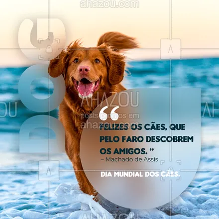 posts, legendas e frases de assuntos variados de Pets para whatsapp, instagram e facebook: Se um cão escolher ser seu amigo, você é uma pessoa feliz! Feliz Dia Mundial dos Cães! 🐕🎉#diamundialdoscães #cães  #AhazouPet  #dogs #petlovers