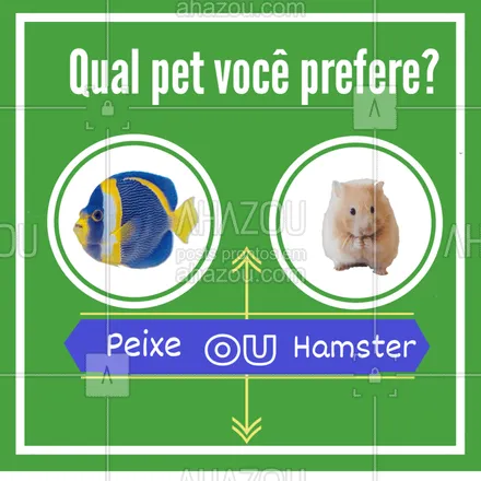posts, legendas e frases de assuntos variados de Pets para whatsapp, instagram e facebook: Conseguiu se decidir? Comenta!! #pet #peixe #hamster #ahazou #enquete #animal