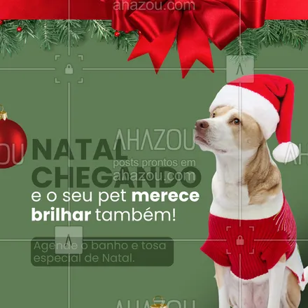 posts, legendas e frases de  para whatsapp, instagram e facebook: Porque o Natal também é tempo de deixar os peludos cheirosos e prontos pra festa! 🎅🐶
Agende o banho e tosa natalino e garanta muito amor, perfume e fofura para o seu melhor amigo.
✨ Vagas limitadas
✨ Atendimento com carinho e cuidado
Reserve agora e deixe seu pet ainda mais lindo pra celebrar!

#NatalPet #BanhoETosa #PetShop #CuidadosComOPet #AmorPet #Natal #PetsFelizes #Cachorros #Gatos #BelezaPet #BanhoPet #Tosa