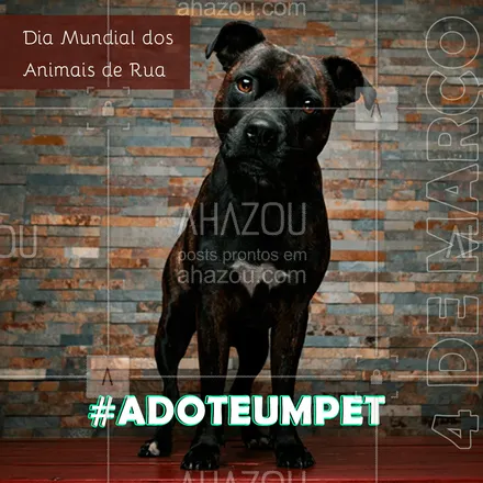 posts, legendas e frases de posts para todos para whatsapp, instagram e facebook: Adote um amigo e salve uma vida! ???
#ahazou #frasesmotivacionais #motivacionais #motivacional #dog #cachorro #amor #4demarco #diamundialdoanimalderua #animalderua #ahazou 