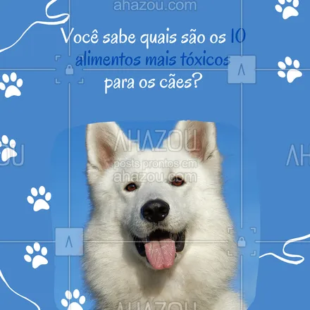 posts, legendas e frases de assuntos variados de Pets para whatsapp, instagram e facebook: Fique de olho nesses 10 alimentos, que você não deve dar ao seu cão de jeito nenhum 👇🏻
🔹 Álcool
🔹 Cebola
🔹 Chocolate
🔹 Brotos de batata
🔹 Alho
🔹 Cogumelos
🔹 Uvas/passas
🔹 Caroço de pêssego
🔹 Massa fermentada
🔹 Açúcar.
#AhazouPet #cats #dogs #dogsofinstagram #petlovers #ilovepets #petoftheday #petsofinstagram