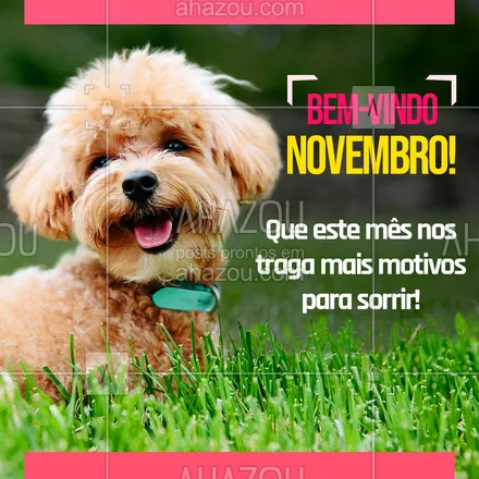 posts, legendas e frases de assuntos variados de Pets para whatsapp, instagram e facebook: Que novembro seja leve, feliz e divertido, bem-vindo! ?? #pets #AhazouPet #novembro #bemvindonovembro 