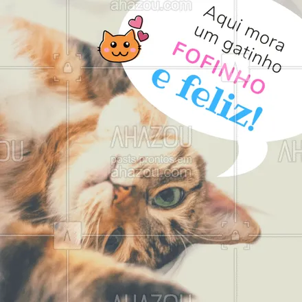 posts, legendas e frases de assuntos variados de Pets para whatsapp, instagram e facebook: Aqui com certeza! ??? E aí? #cat #gatinhos #ahazou #petlover