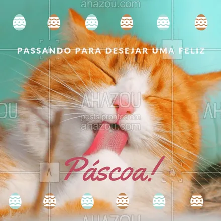 posts, legendas e frases de assuntos variados de Pets para whatsapp, instagram e facebook: Desejamos a todos uma maravilhosa páscoa em família! #pascoa #ahazou #ahzpascoa #ahazoupet #felizpascoa