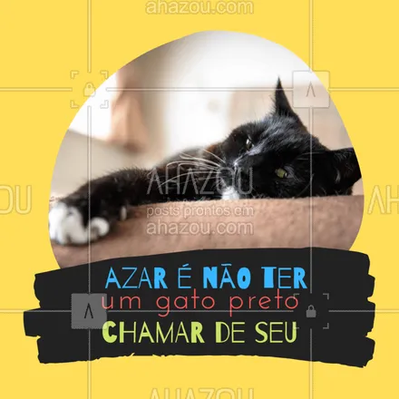 posts, legendas e frases de assuntos variados de Pets para whatsapp, instagram e facebook: Quem concorda? ????? #gatopreto #ahazou #petlover