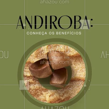 posts, legendas e frases de natura para whatsapp, instagram e facebook: Os povos da floresta nos ensinaram que o óleo de andiroba “cura tudo”. De analgésico a cicatrizante e de repelente a anti-inflamatório, o uso deste ativo amazônico é diverso e oferece benefícios medicinais e cosméticos imperdíveis! Quer descobrir tudo sobre isso? Veja no blog e conheça a origem, os tipos, as vantagens e muito mais sobre a andiroba. #AhazouNatura #ahazourevenda