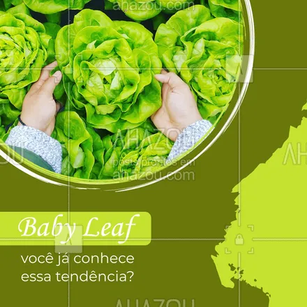 posts, legendas e frases de hortifruti para whatsapp, instagram e facebook: Baby leafs são hortaliças, como alface, rúcula e espinafre, que foram colhidas precocemente, e por isso apresentam um tamanho menor, além disso apresentam um sabor e textura mais suaves que são perfeitos para montar sua salada. #babyleafs #ahazoutaste #salada #hortifruti #vidasaudavel #organic