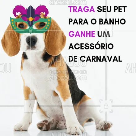 posts, legendas e frases de petshop para whatsapp, instagram e facebook: Traga seu pet para o banho e ganhe um acessório de Carnaval! ✨ #petshop #pet #carnaval #banho #ahazoupet #ahazou