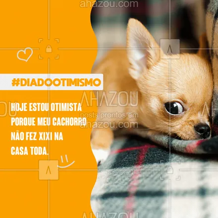 posts, legendas e frases de assuntos variados de Pets para whatsapp, instagram e facebook: Só pode ser um bom sinal.??
 #AhazouPet #otimismo #diadootimismo #frase #motivacional #amor #cao #cachorro