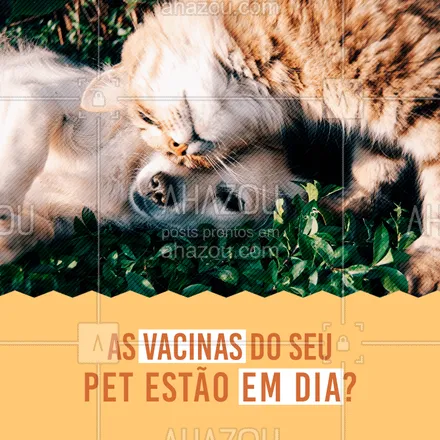 posts, legendas e frases de veterinário, assuntos variados de Pets para whatsapp, instagram e facebook: As vacinas são prioridades para a saúde do seu bichinho. Traga-o para os nossos especialistas! #veterinario #vet #pet #ahazouapp #ahazoupet #vacinas #checkup #consulta